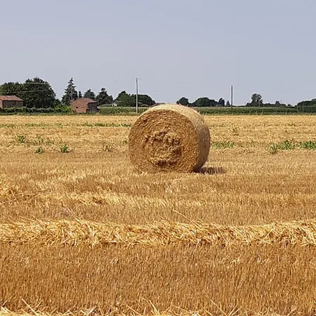 Lantgård La Fornetta Ferrara