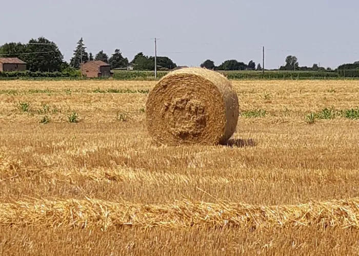 Çiftlik konaklama La Fornetta Ferrara
